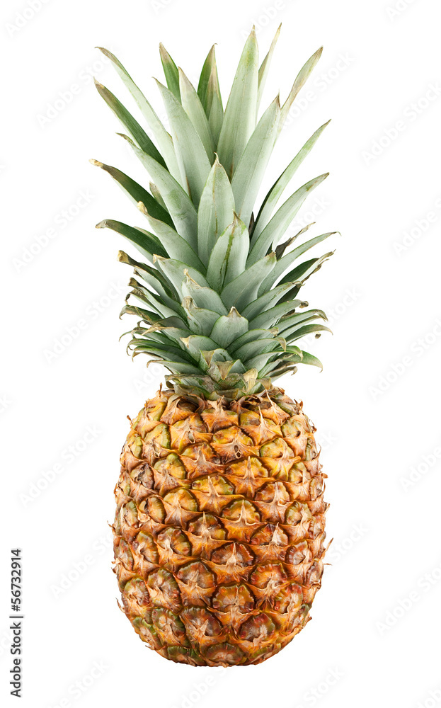 Pineapple Pineapple