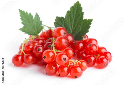 Red currants on white background