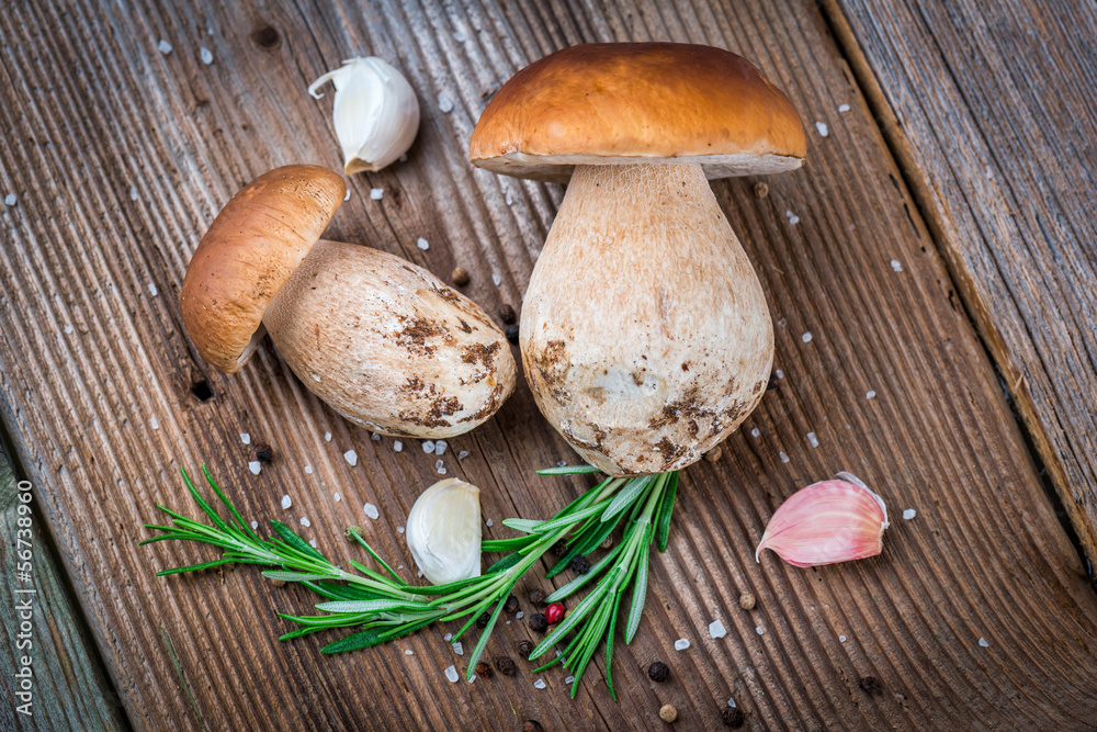 Porcini Mushroom with Garlic, Pepper, Salt and Rosemary Porcini Mushroom with Garlic, Pepper, Salt and Rosemary