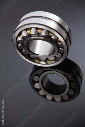 Obraz na płótnie bearing_4