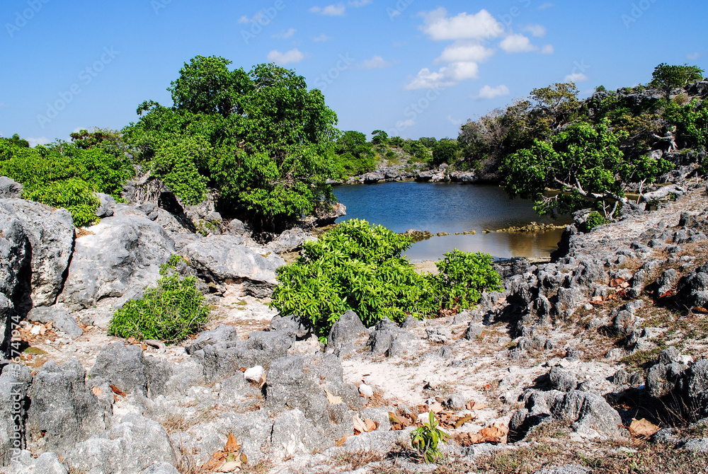 Pond in the middle of Savu