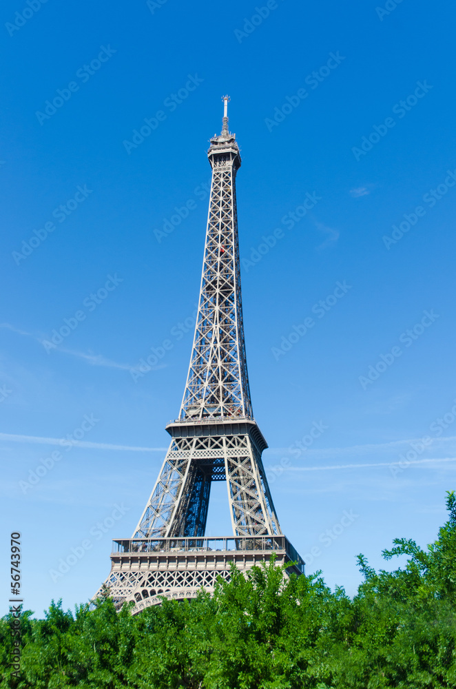 Eiffel tower isolated on the white