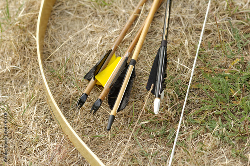 bow and arrows