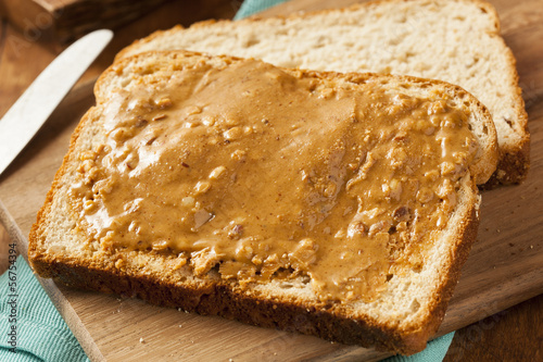 Homemade Chunky Peanut Butter Sandwich