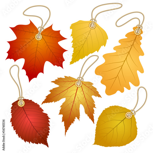 Hanging vector tags with autumn leaves.