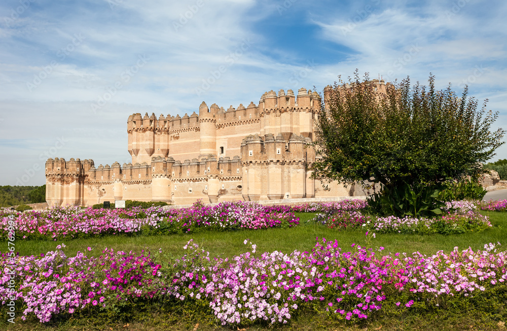 Obraz premium Coca Castle
