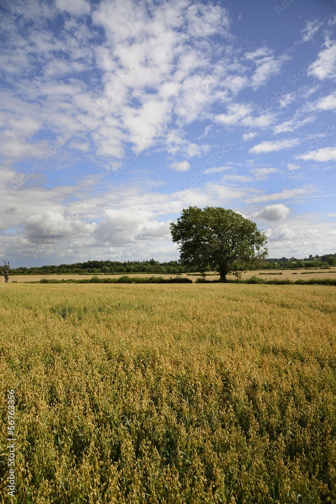 Yorkshire (Uk) Yorkshire (Uk)