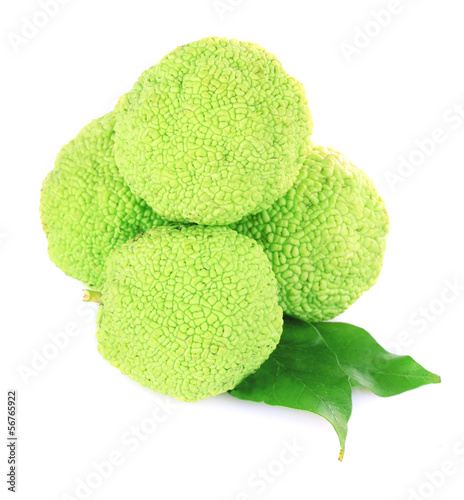 Osage Orange fruits (Maclura pomifera), isolated on white photo