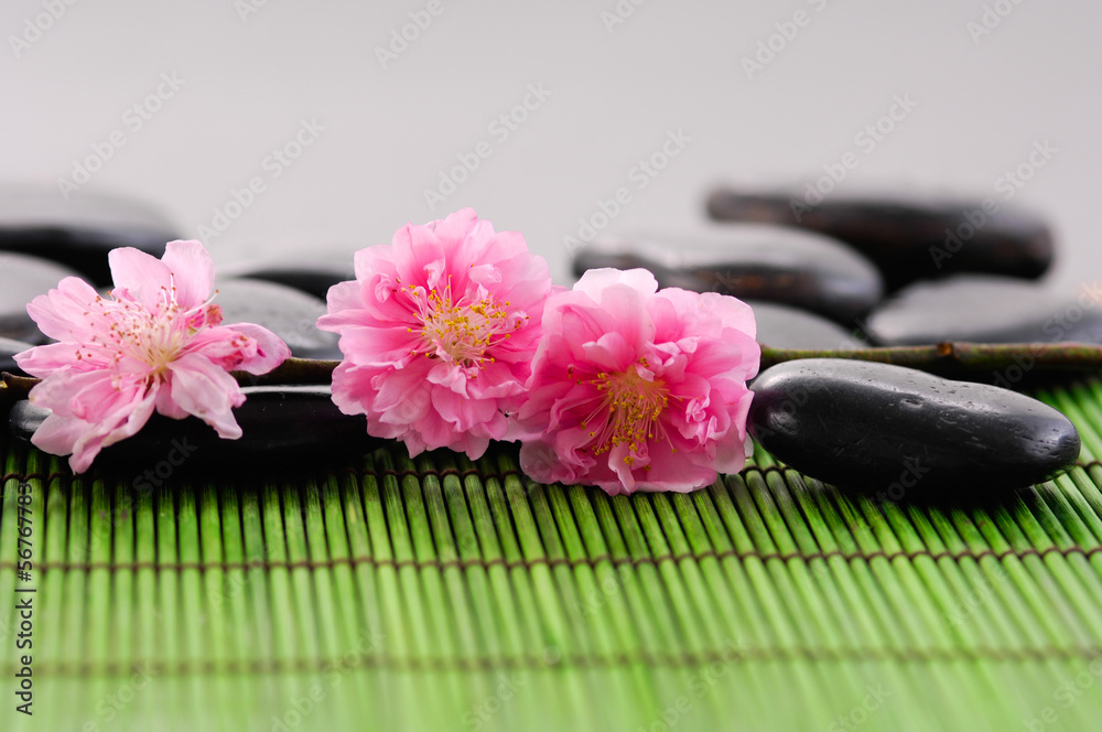 Branch camellia with Stones on green mat Branch camellia with Stones on green mat