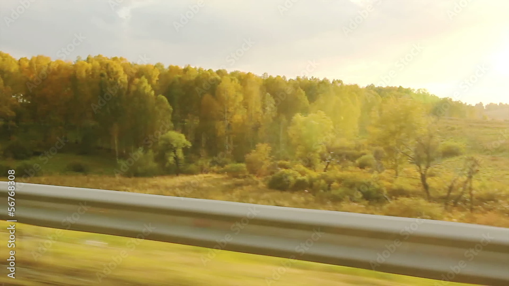 Movement along the forest on a sunny autumn evening (POV) Movement along the forest on a sunny autumn evening (POV)