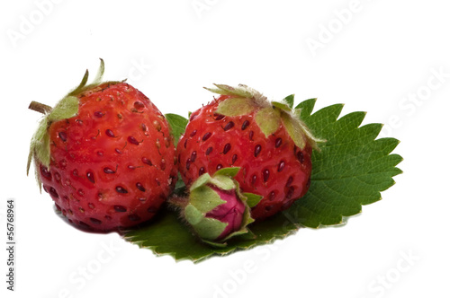 Straeberry photo