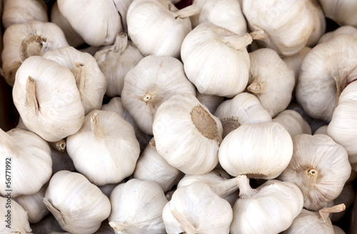Close up of garlic on market stand photo
