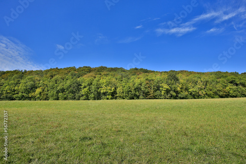 Landschaft im Herbst