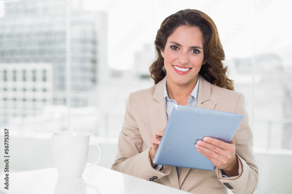 Beautiful cheerful businesswoman using tablet Beautiful cheerful businesswoman using tablet