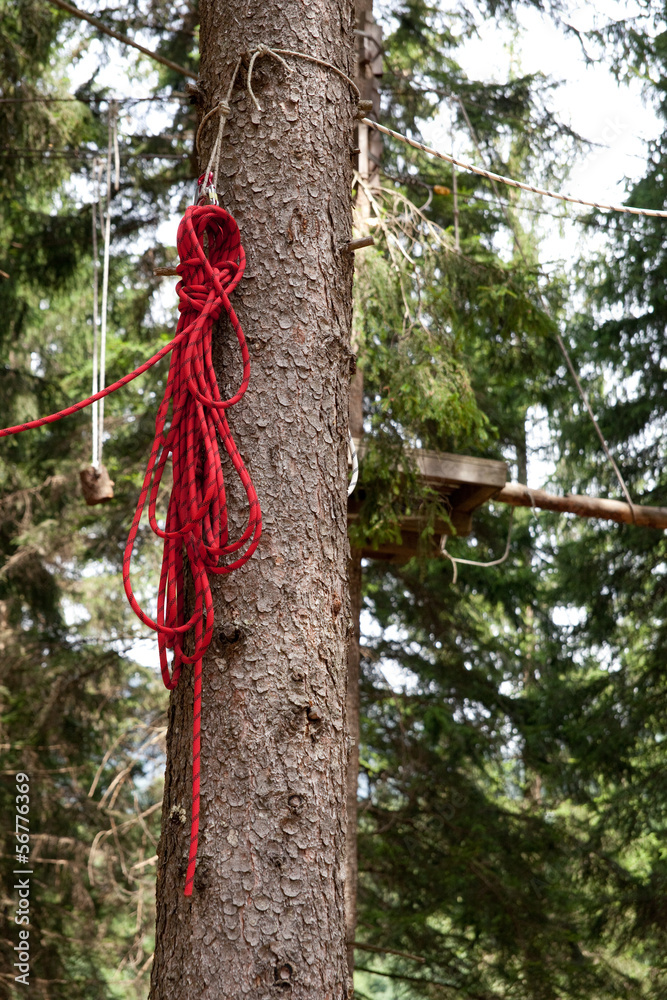 Fototapeta premium Arrampicata