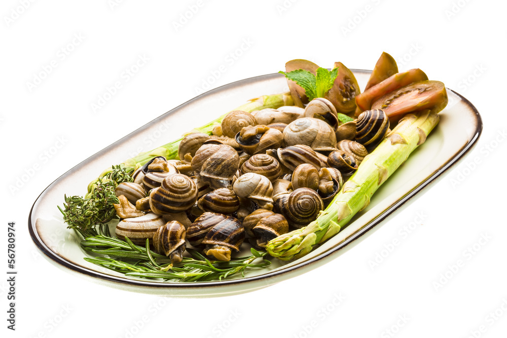 Fototapeta premium Escargot with asparagus, rosemary, thymus and tomato