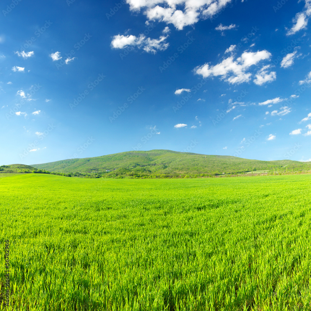 Field and sky