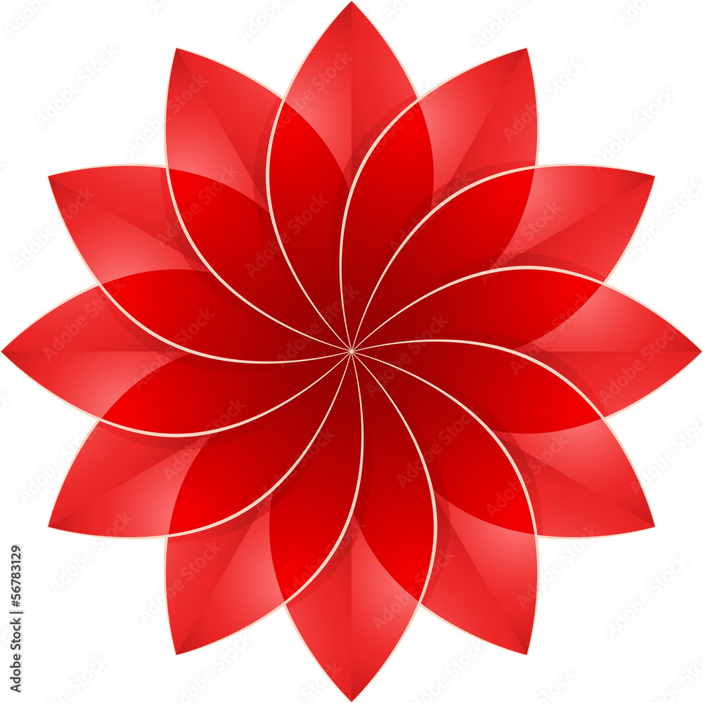 Fototapeta premium Red Flower