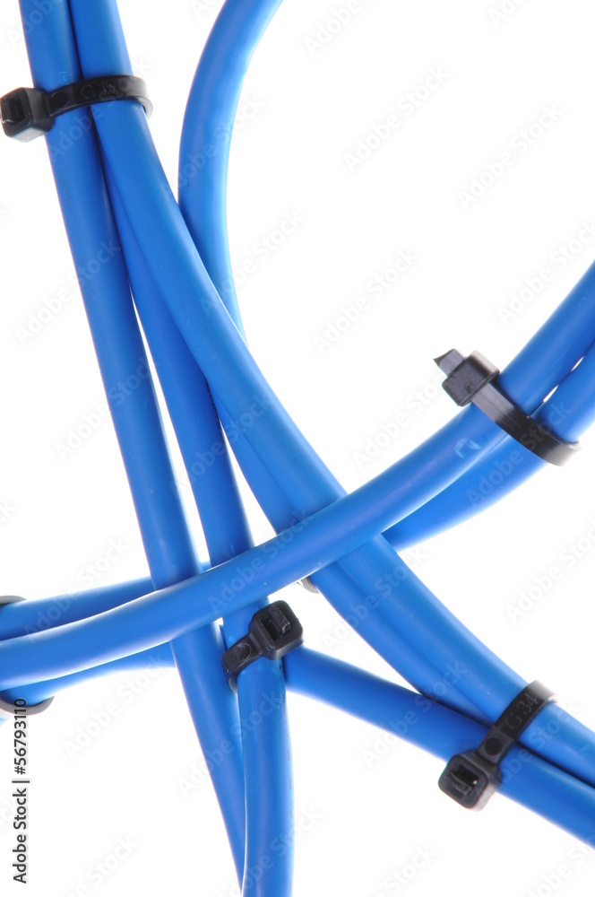 Computer network cables on white background Computer network cables on white background