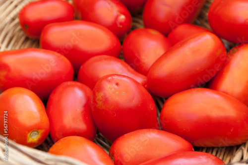 Cesto di pomodori rossi appena colti photo