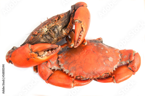 Boiled crab ready to eat