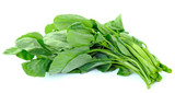 Chinese kale vegetable on white background