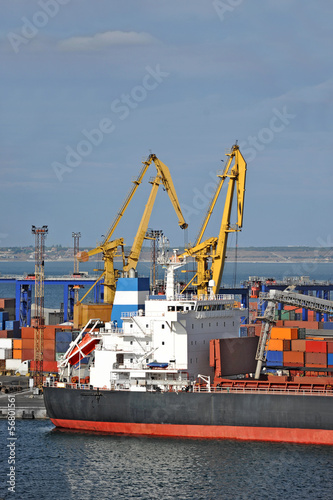 Bulk cargo ship under port crane bridge  Odessa  Ukraine