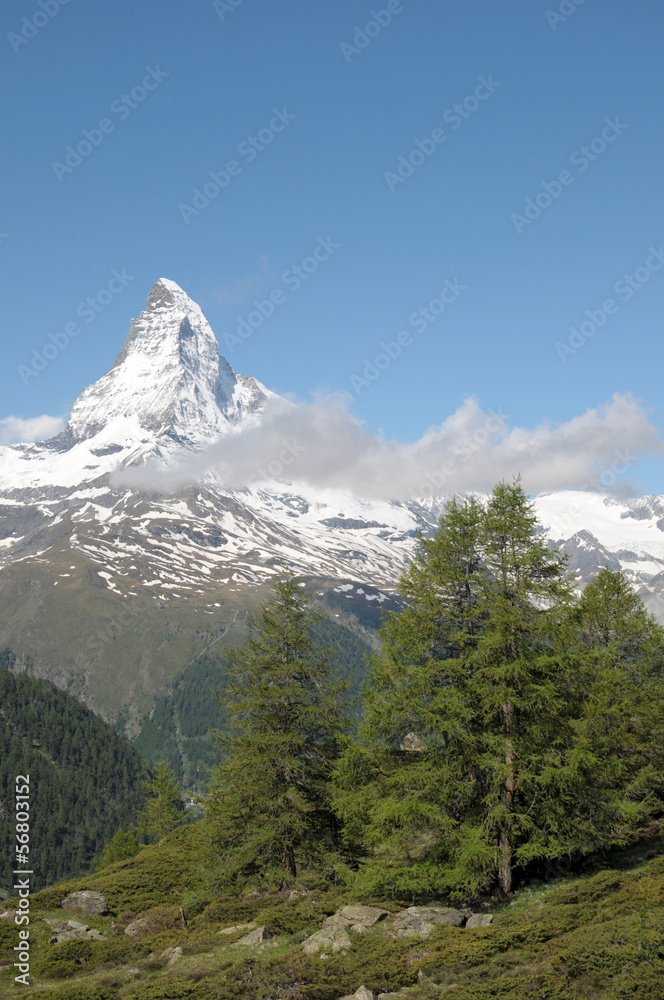 Forest Path from Sunnegga with Matterhorn in Swiss alps