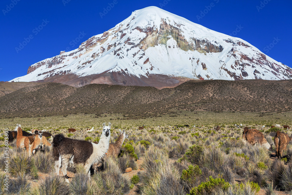 Obraz premium Mountains in Bolivia