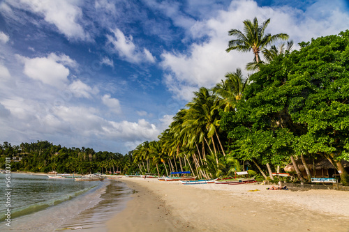Empty Port Barton Beach with Palm Trees, Palawan, Philippines © zm_photo