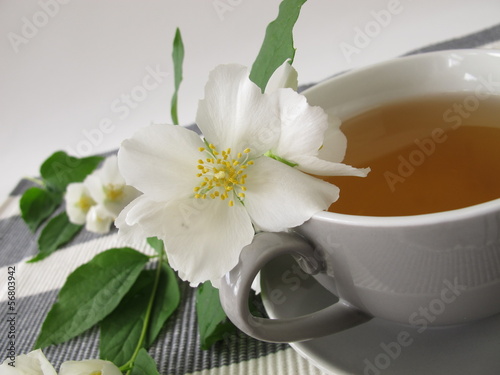 Weißer Tee und Sommerjasmin photo