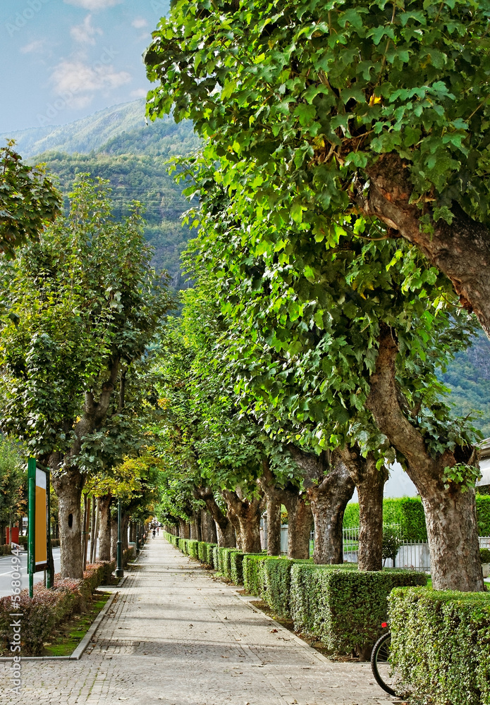 On the Tirano street.