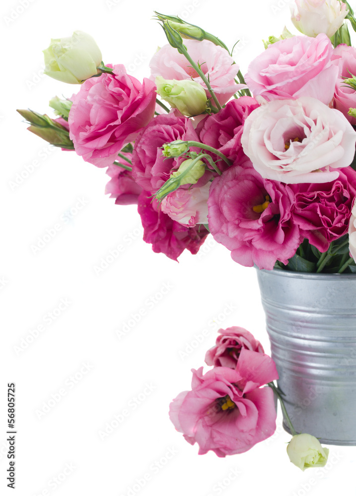 eustoma flowers in metal pot close up