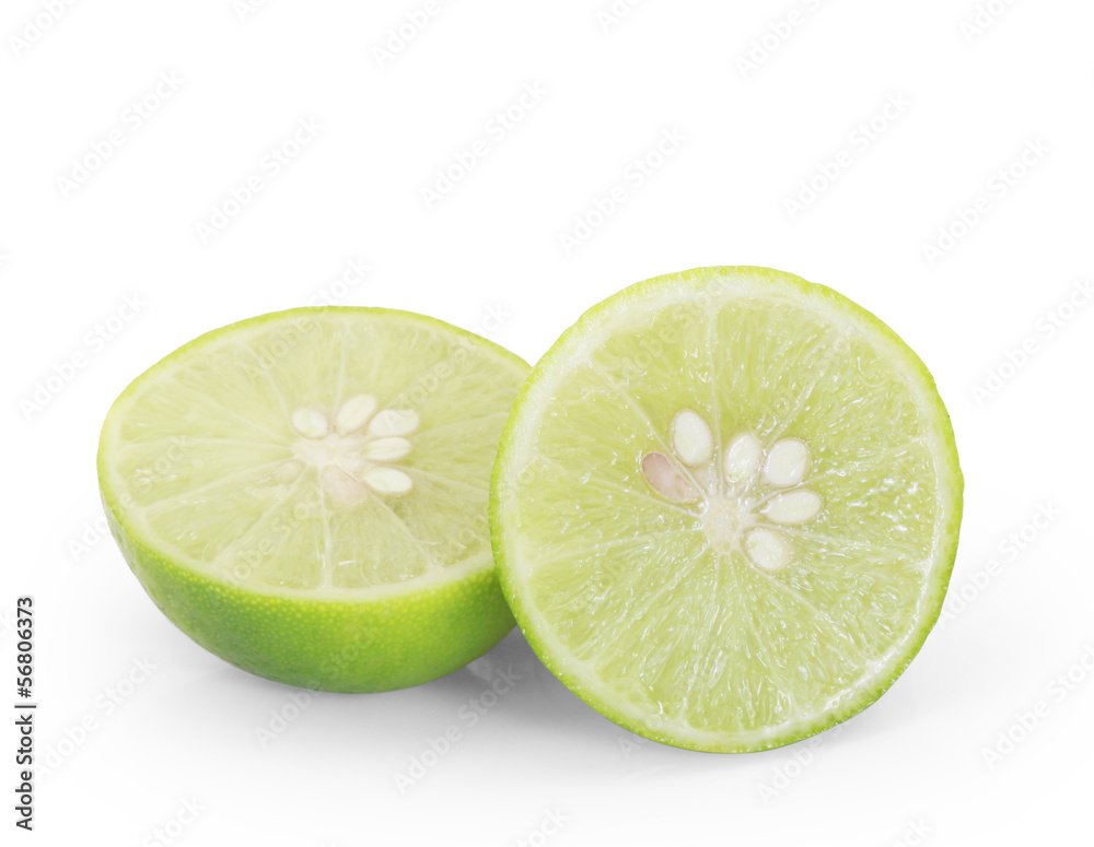 the succulent lemon the succulent lemon