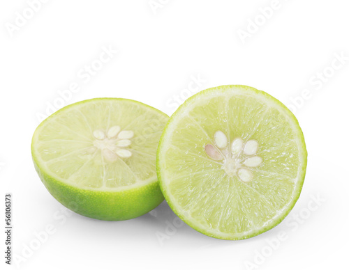  the succulent lemon