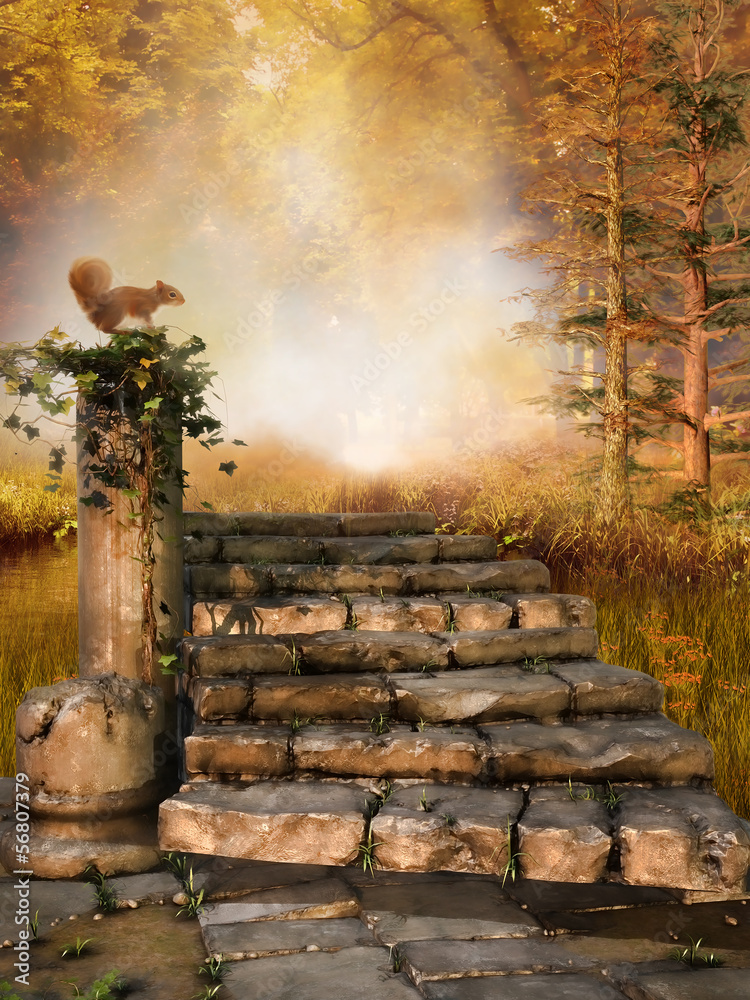 Fototapeta premium Kamienne schody z wiewiórką w jesiennym lesie