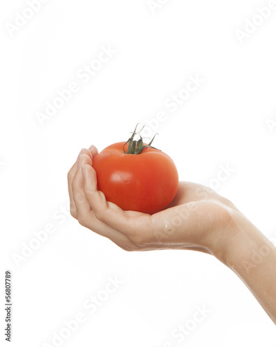 tomato in hand, isolated on white background