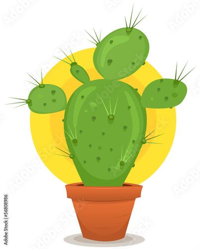 Little Cactus In Pot
