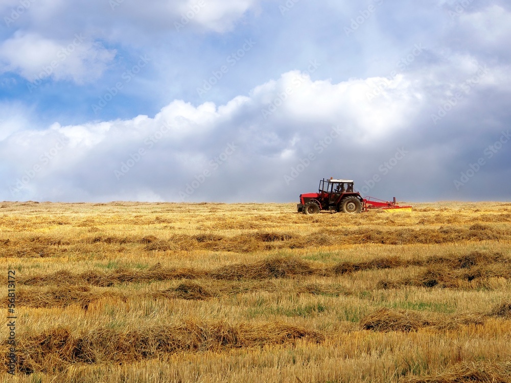 Fototapeta premium Tractor on the yellow field