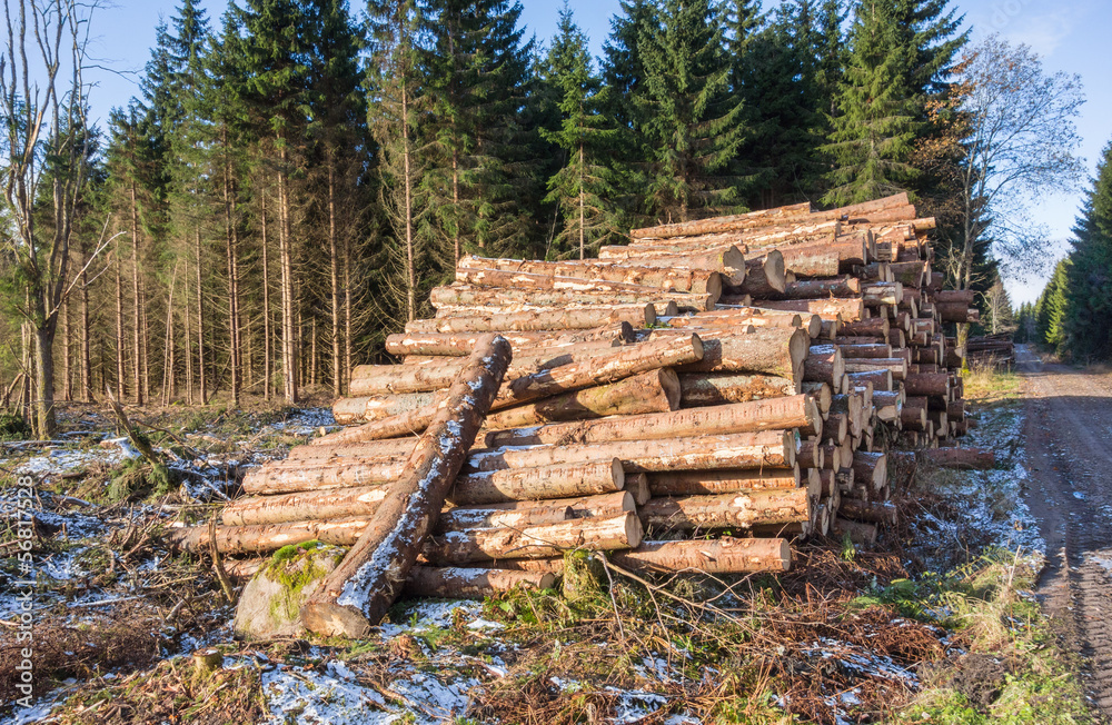 Pile of timber