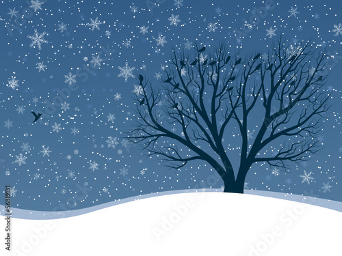 Winter card of snowfall with trees.
