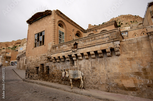 Foto Stone buildings and donkey in Mardin old town in Turkey.