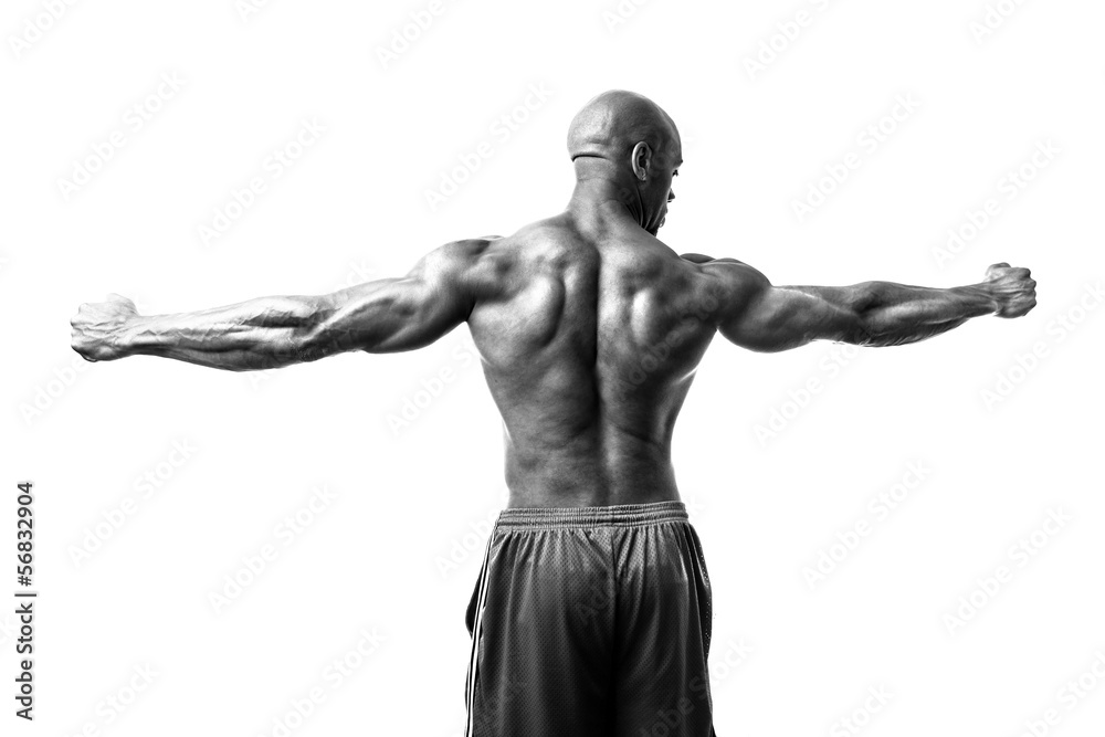 Bodybuilder Arms Spread Bodybuilder Arms Spread