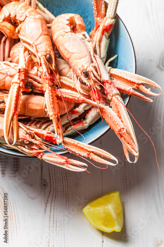 Freshly cooked scampi in a blue bowl with lemon photo