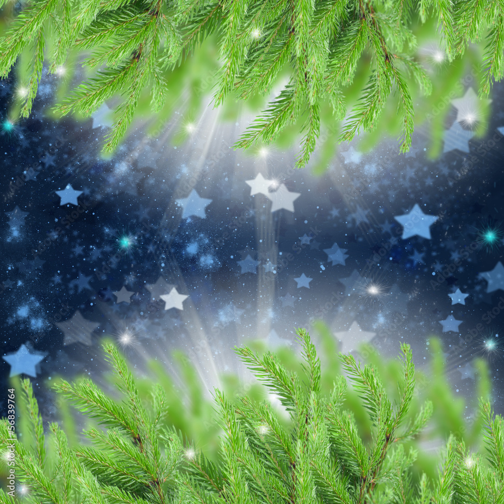 fir tree frame with stars
