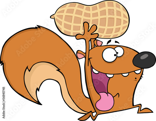 Crazy Squirrel Cartoon Mascot Character Running With Big Peanut