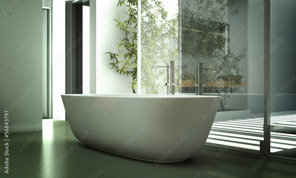 Modern design bathtub against glass partition Modern design bathtub against glass partition