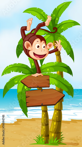 A monkey balancing at the top of the arrowboard at the beach