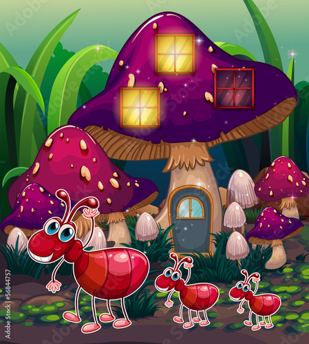 A colony of ants near the mushroom house