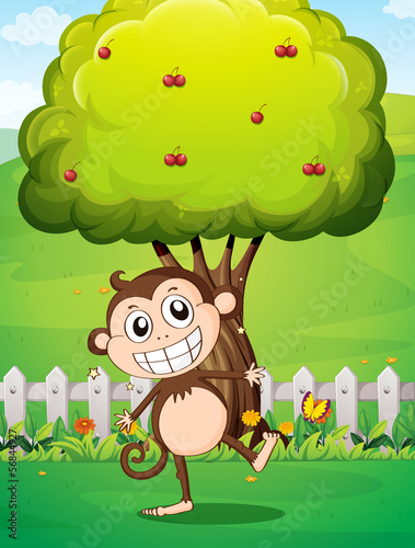 A smiling monkey at the yard in front of the tree with cherries
